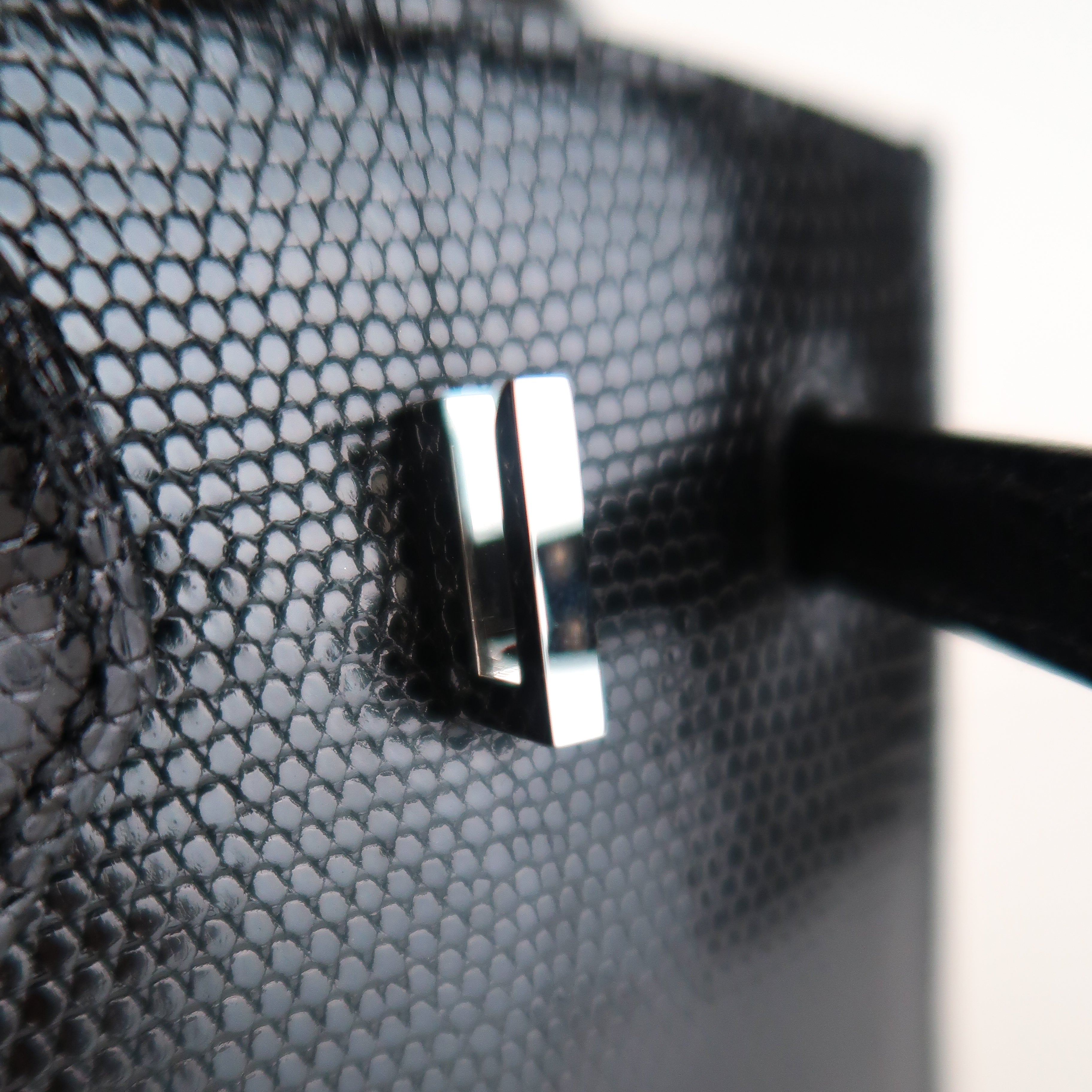 Hermès Noir Niloticus Lizard Birkin 20 (PHW | 2024)