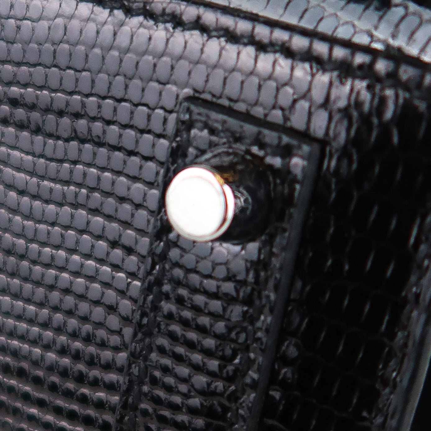 Hermès Noir Niloticus Lizard Birkin 20 (PHW | 2024)